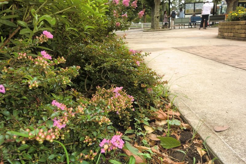 
バス停 （

拡大表示）