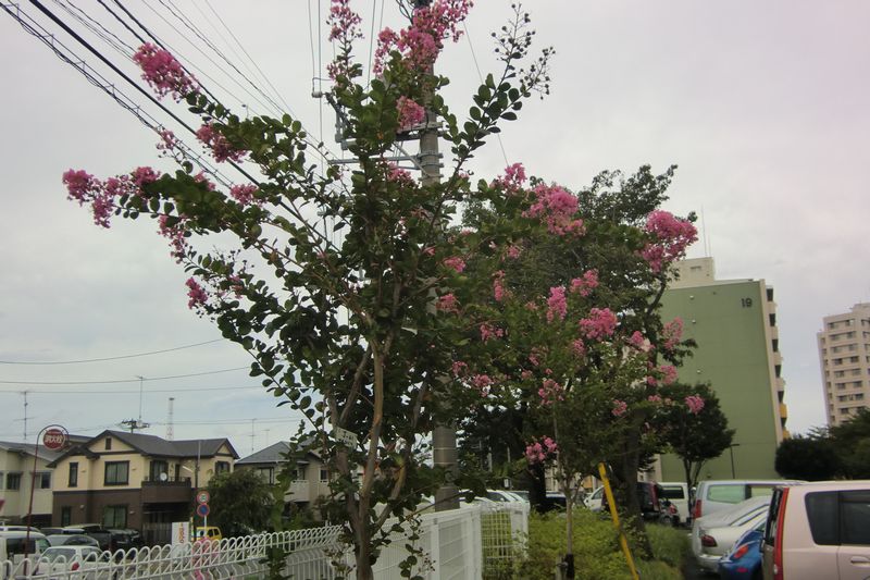 22号棟 （拡大表示）