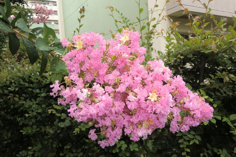 10号棟 （

拡大表示）