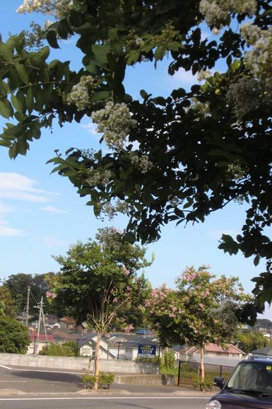 4号線 （拡大表示）