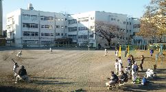 photo3